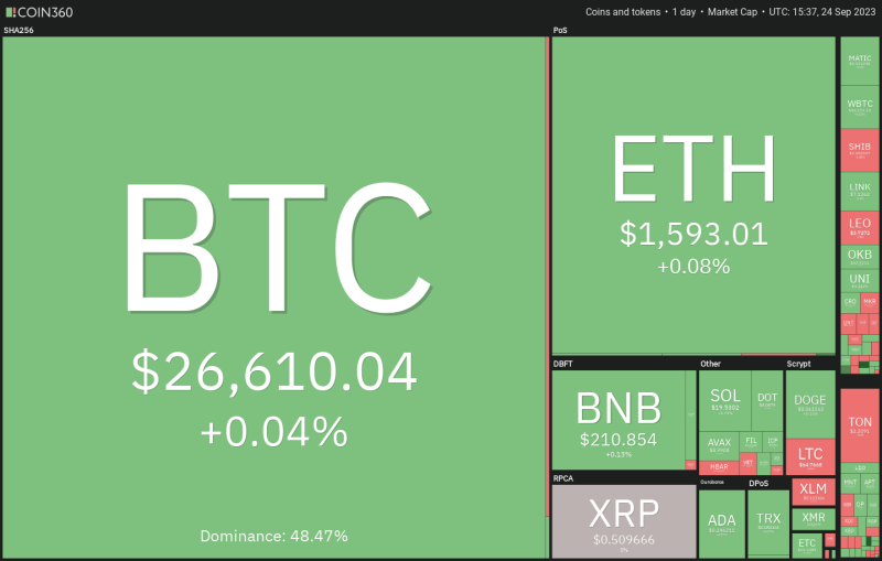 Crypto traders shift focus to 4 altcoins as Bitcoin price flatlines