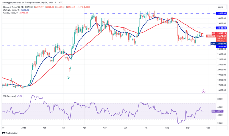 Crypto traders shift focus to 4 altcoins as Bitcoin price flatlines