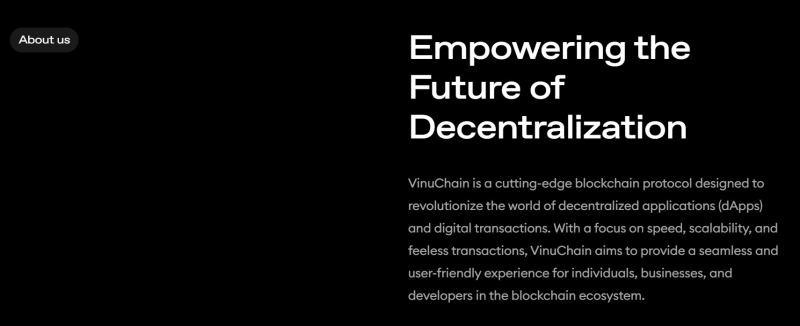 VinuChain