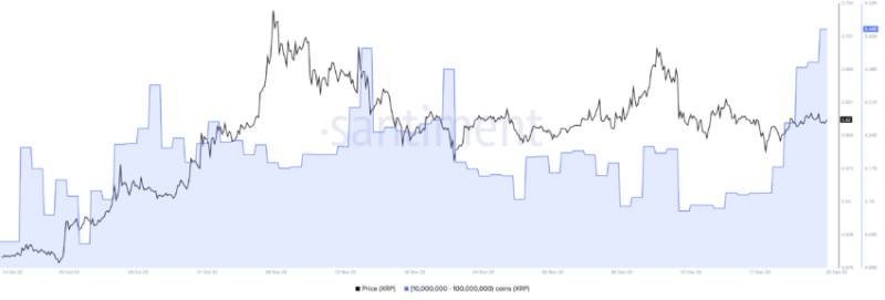 
Whales Bet Big on Ripple, Accumulate 360 Million XRP
