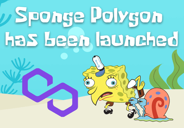 Bonk Price Slides 10% as Traders Back New Polygon Meme Coin Sponge V2 to Explode