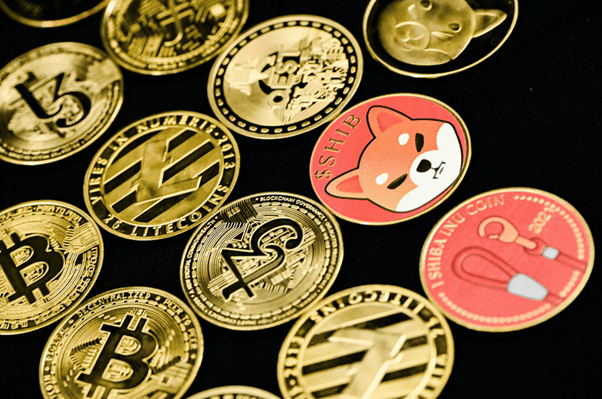 Shiba Inu Price Outlook: What's Next for SHIB? Hot New Meme Coin Dogeverse Soars