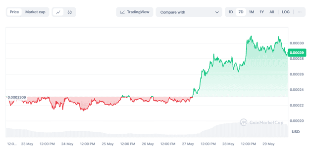 Floki Price Continues to Rise As New P2E Meme Coin PlayDoge Raises $250k