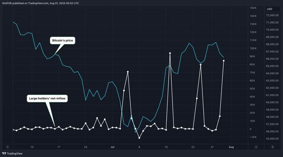 Large Bitcoin Holders Added $5.4B in BTC in July, Data Show